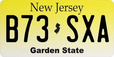 NJ license plate B73SXA