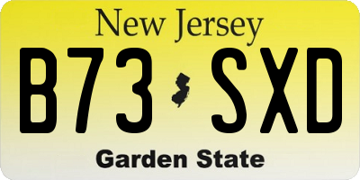 NJ license plate B73SXD