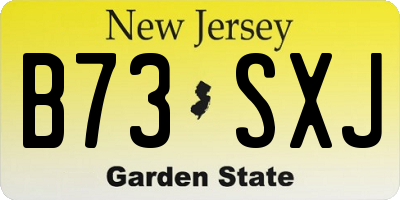 NJ license plate B73SXJ