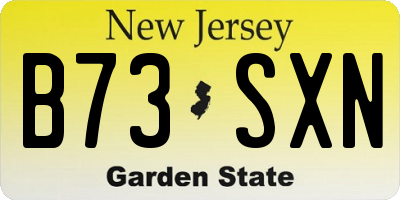 NJ license plate B73SXN