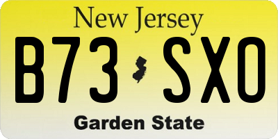 NJ license plate B73SXO