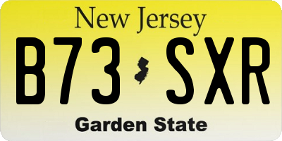 NJ license plate B73SXR