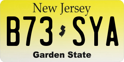 NJ license plate B73SYA