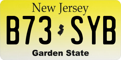 NJ license plate B73SYB