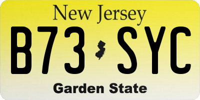 NJ license plate B73SYC