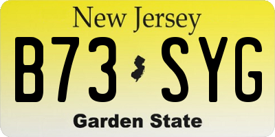NJ license plate B73SYG