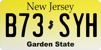 NJ license plate B73SYH