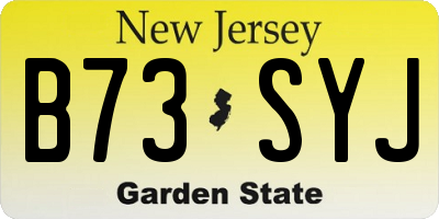NJ license plate B73SYJ