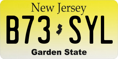 NJ license plate B73SYL