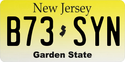 NJ license plate B73SYN
