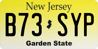 NJ license plate B73SYP