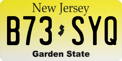 NJ license plate B73SYQ