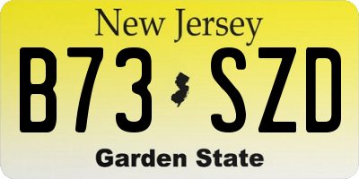 NJ license plate B73SZD