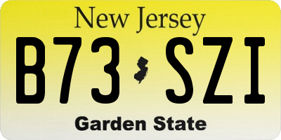 NJ license plate B73SZI