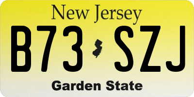 NJ license plate B73SZJ