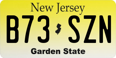 NJ license plate B73SZN