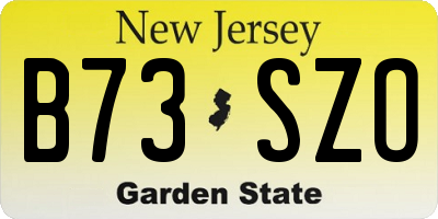 NJ license plate B73SZO