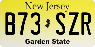 NJ license plate B73SZR
