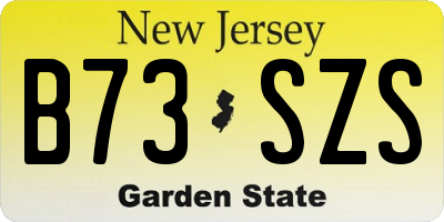 NJ license plate B73SZS