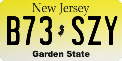 NJ license plate B73SZY