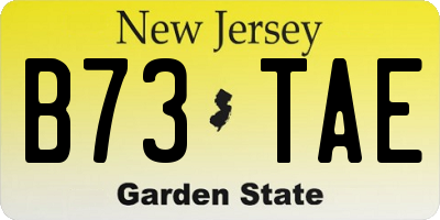 NJ license plate B73TAE