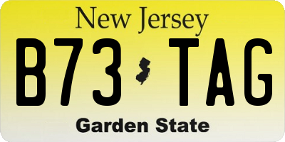 NJ license plate B73TAG
