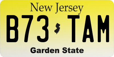 NJ license plate B73TAM