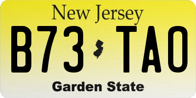NJ license plate B73TAO