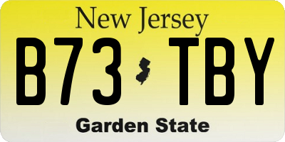 NJ license plate B73TBY