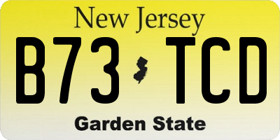 NJ license plate B73TCD