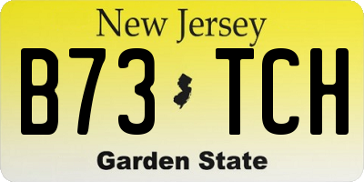 NJ license plate B73TCH