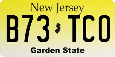 NJ license plate B73TCO