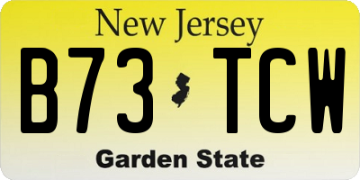 NJ license plate B73TCW