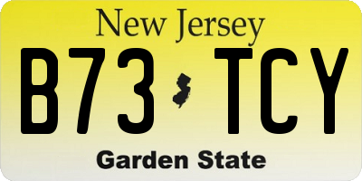 NJ license plate B73TCY