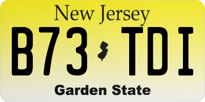 NJ license plate B73TDI