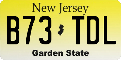 NJ license plate B73TDL