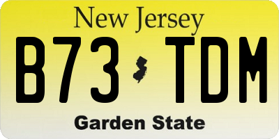 NJ license plate B73TDM