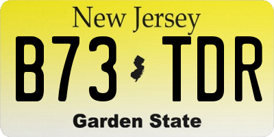 NJ license plate B73TDR