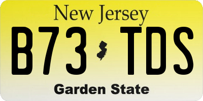 NJ license plate B73TDS