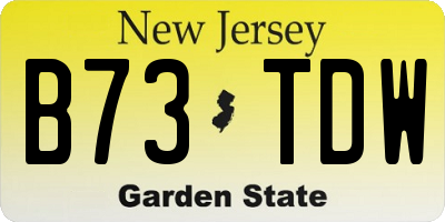 NJ license plate B73TDW