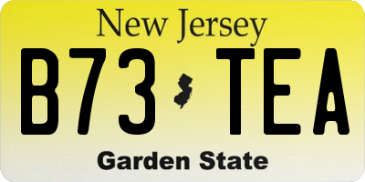 NJ license plate B73TEA