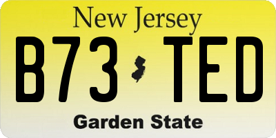 NJ license plate B73TED