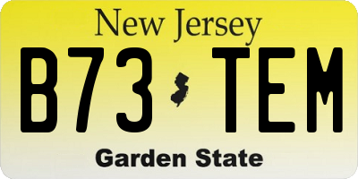 NJ license plate B73TEM