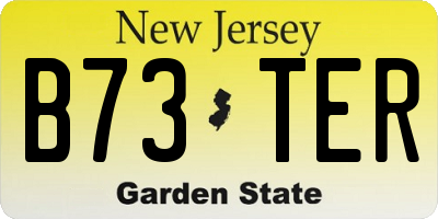 NJ license plate B73TER