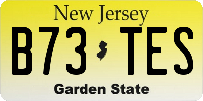 NJ license plate B73TES