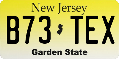 NJ license plate B73TEX