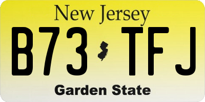 NJ license plate B73TFJ