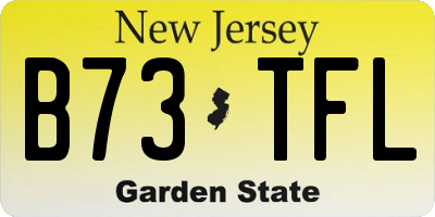NJ license plate B73TFL
