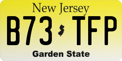 NJ license plate B73TFP