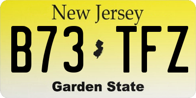 NJ license plate B73TFZ